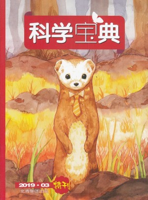 科学宝典杂志订阅